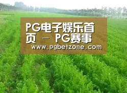种植基地四