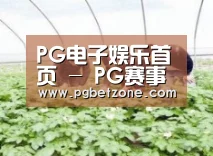 种植基地三