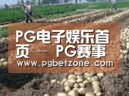 种植基地七(图1)