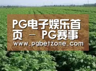 种植基地五(图1)